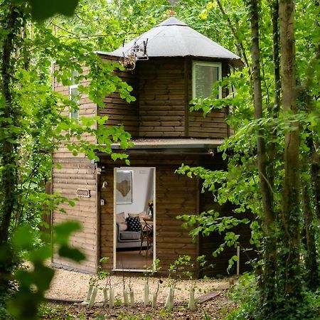 Honeycombe - Treehouse In The Heart Of Dorset Blandford Forum Exterior foto