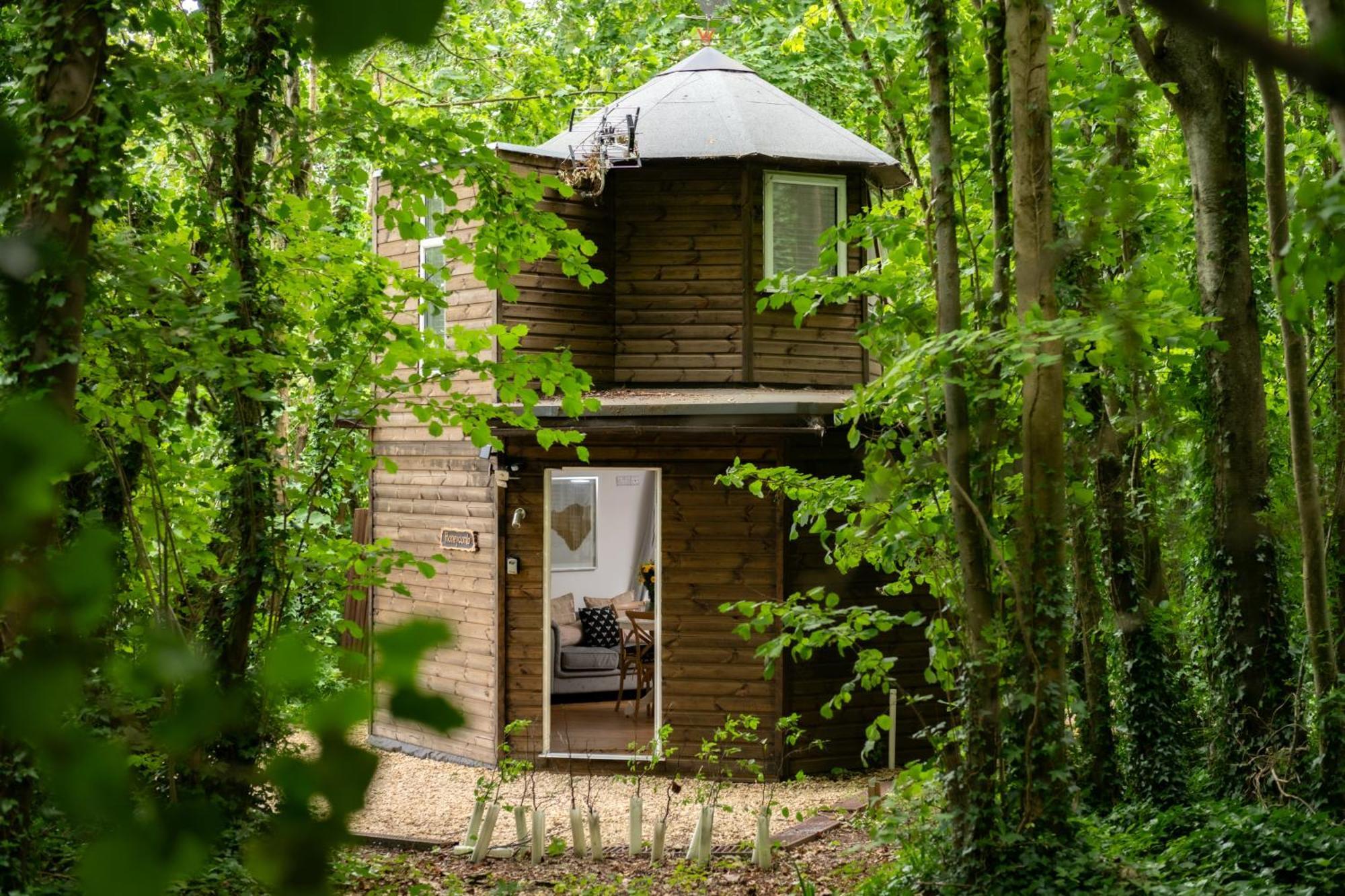 Honeycombe - Treehouse In The Heart Of Dorset Blandford Forum Exterior foto