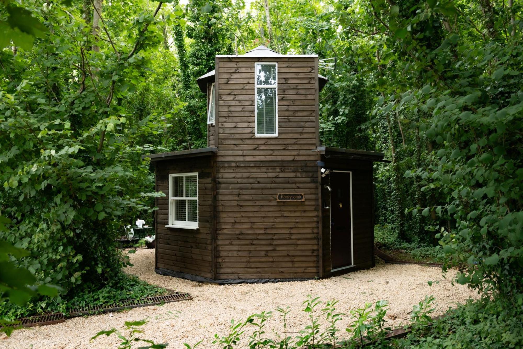 Honeycombe - Treehouse In The Heart Of Dorset Blandford Forum Exterior foto